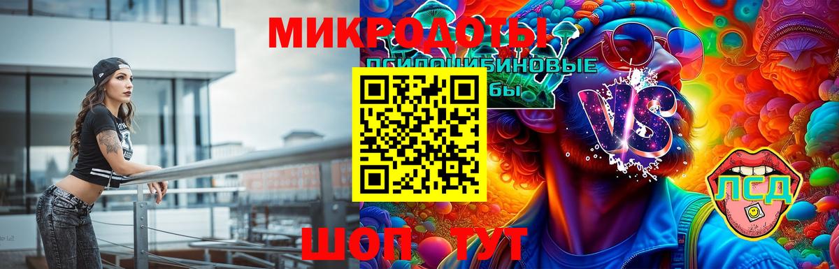 Россия  Псилоцибиновые грибы GOLDEN TEACHER  Псилоцибиновые грибы Psilocybine cubensis  Вход с VPN 